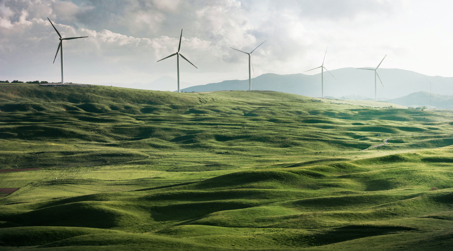 World Environment Day