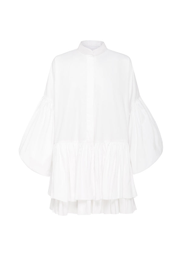 Ada | Medium/Large  | Sample