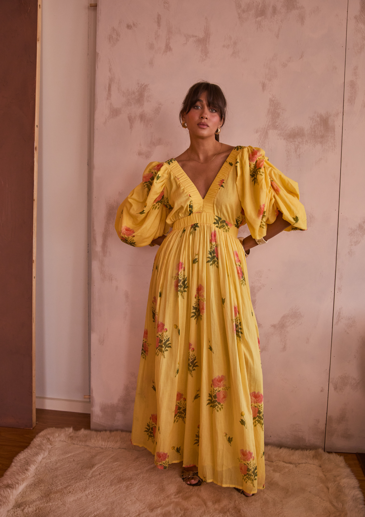 Aster Maxi | Gardenia