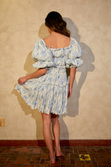 Daisy | Blue